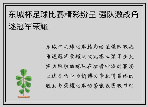 东城杯足球比赛精彩纷呈 强队激战角逐冠军荣耀