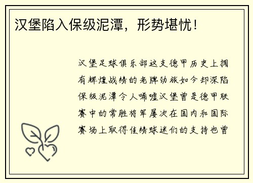 汉堡陷入保级泥潭，形势堪忧！