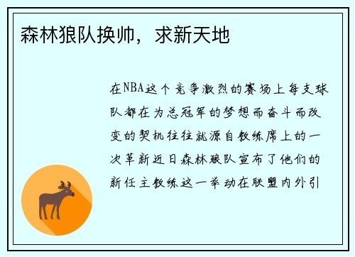 森林狼队换帅，求新天地