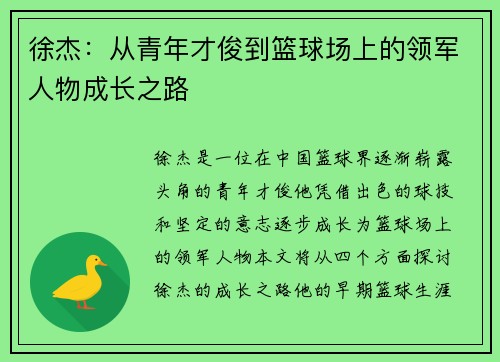 徐杰：从青年才俊到篮球场上的领军人物成长之路