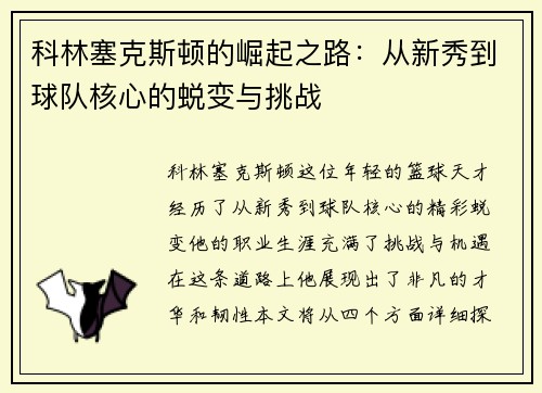 科林塞克斯顿的崛起之路：从新秀到球队核心的蜕变与挑战